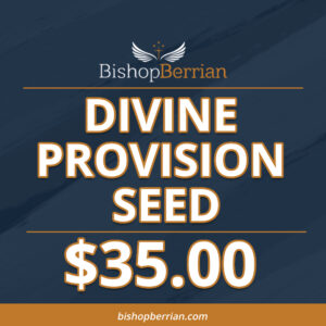 Divine Provision Seed